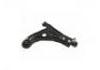 Brazo de suspensión Control Arm:9044293