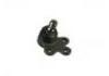 Ball Joint:95907943