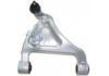 控制臂 Control Arm:55502-9Y000