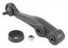 Control Arm:48830-60050