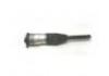 Shock Absorber:6006353-06-C