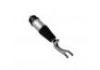 减振器 Shock Absorber:1027361-00-G