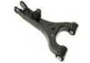 Bras de liaison Control Arm:RGG000070