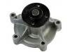 水泵 Water Pump:166.200.05.20