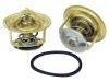 Termostato, refrigerante Thermostat:11 53 9 055 588