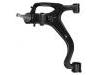 Control Arm:RBJ 500456