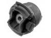 Suspension Bushing Suspension Bushing:204 350 02 75