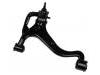 Bras de liaison Control Arm:RBJ 500183