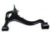 Brazo de suspensión Control Arm:RBJ501370