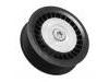 Idler Pulley:607 200 02 70