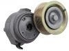 Belt Tensioner:460 200 09 70