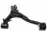 Control Arm:LR0 10527