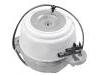 Soporte del motor Engine Mount:204 240 39 17