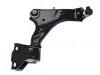 Bras de liaison Control Arm:LR060046